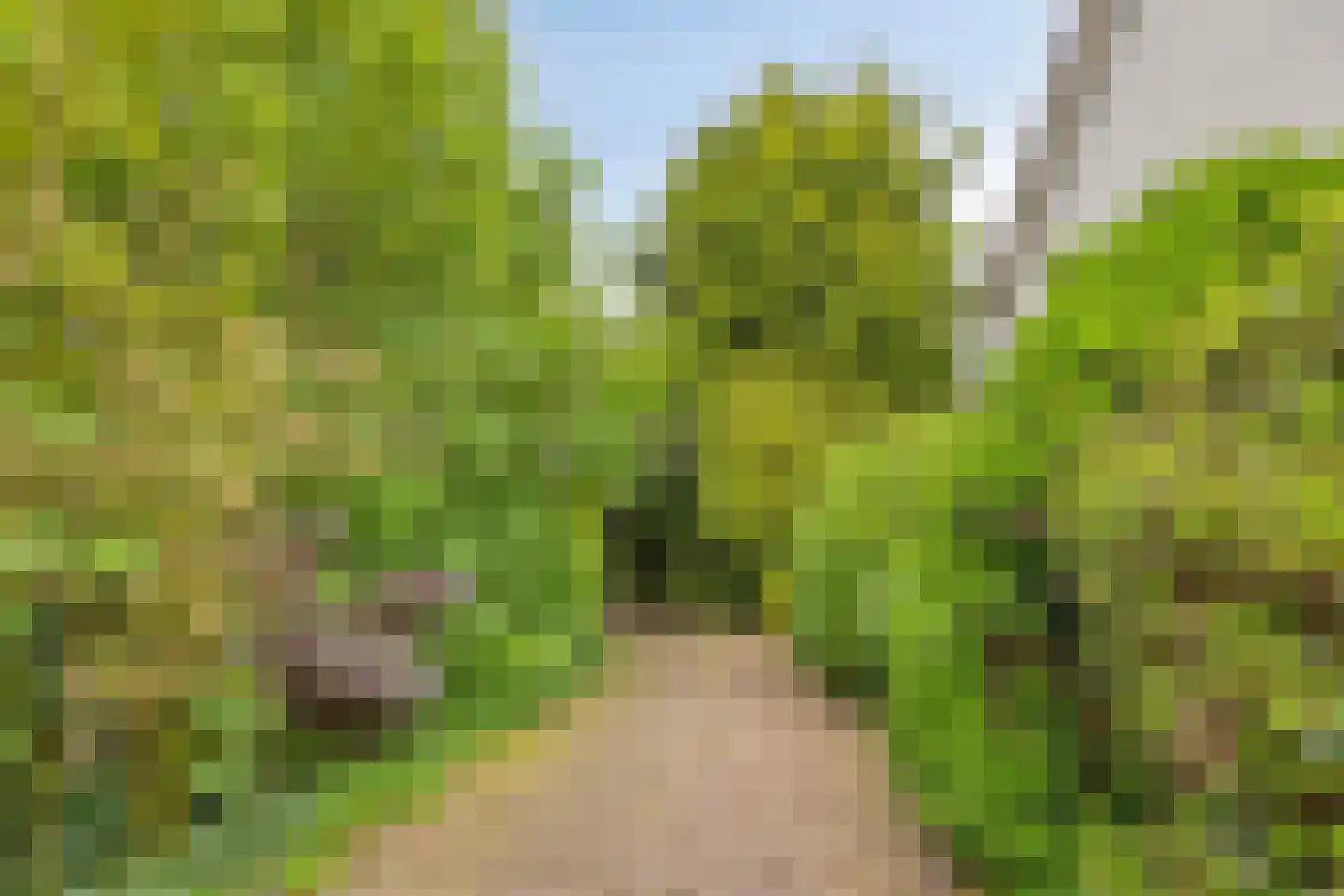 Rijsdijk 59 Krimpen aan de Lek thumbnail 50