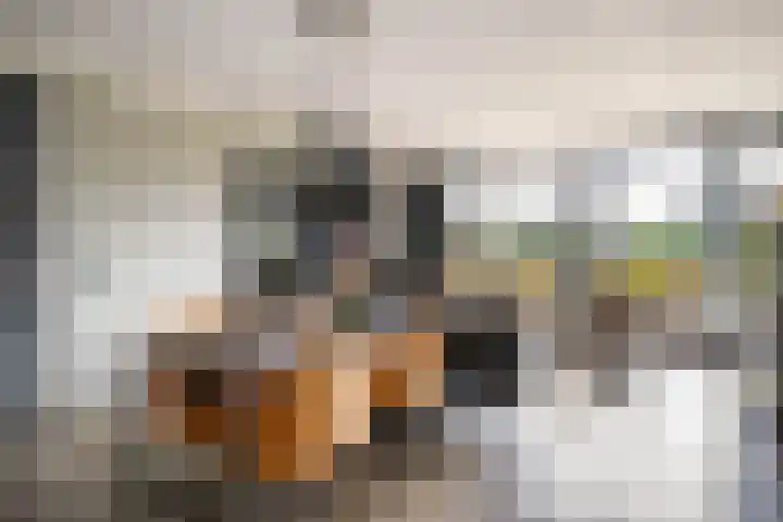 Rijsdijk 7 Krimpen aan de Lek thumbnail 13