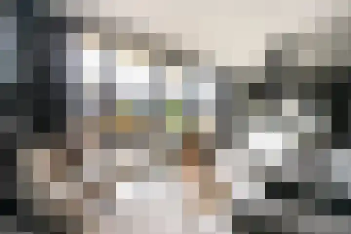 Rijsdijk 7 Krimpen aan de Lek thumbnail 15