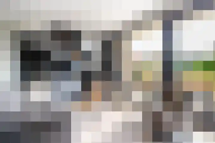Rijsdijk 7 Krimpen aan de Lek thumbnail 16