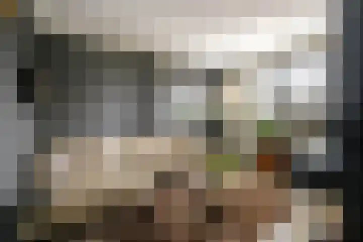 Rijsdijk 7 Krimpen aan de Lek thumbnail 18