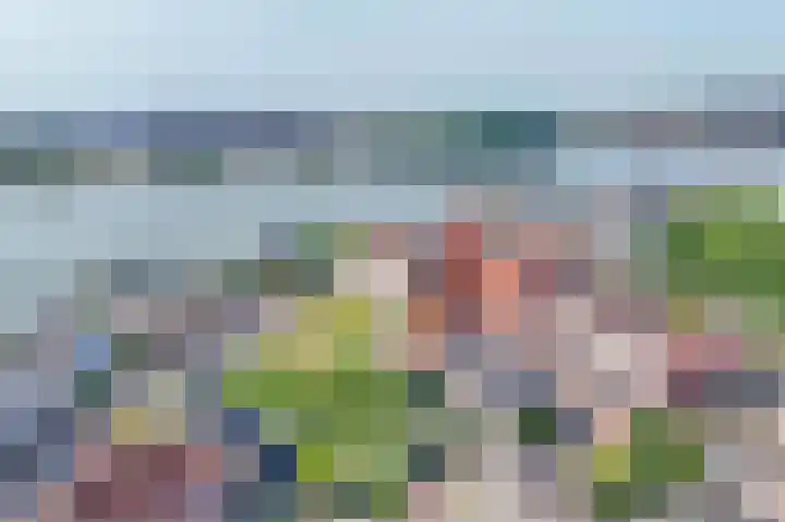 Rijsdijk 7 Krimpen aan de Lek foto 2