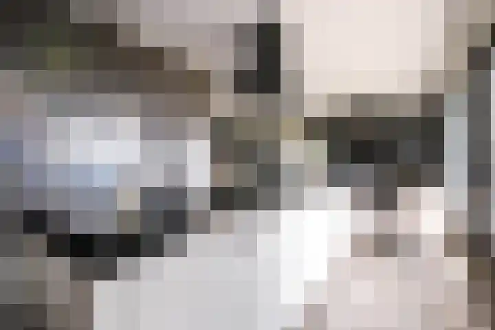 Rijsdijk 7 Krimpen aan de Lek thumbnail 20
