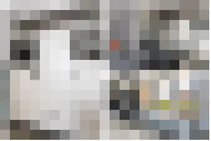 Rijsdijk 7 Krimpen aan de Lek thumbnail 22