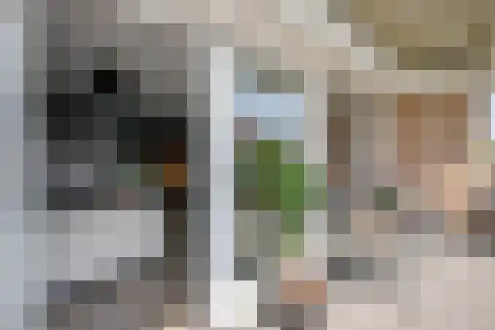 Rijsdijk 7 Krimpen aan de Lek thumbnail 23