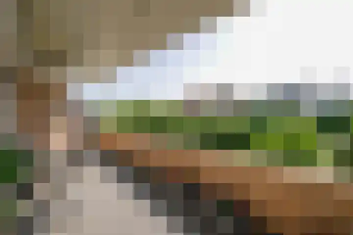 Rijsdijk 7 Krimpen aan de Lek thumbnail 24
