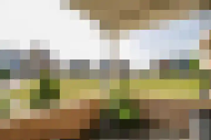 Rijsdijk 7 Krimpen aan de Lek thumbnail 25