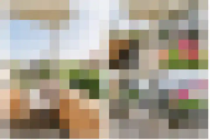 Rijsdijk 7 Krimpen aan de Lek thumbnail 26