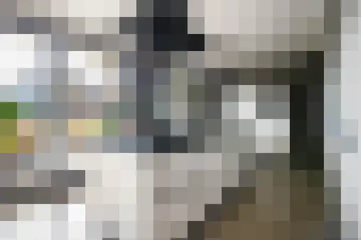 Rijsdijk 7 Krimpen aan de Lek foto 3
