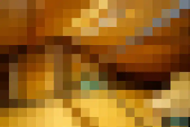 Rijsdijk 7 Krimpen aan de Lek thumbnail 38