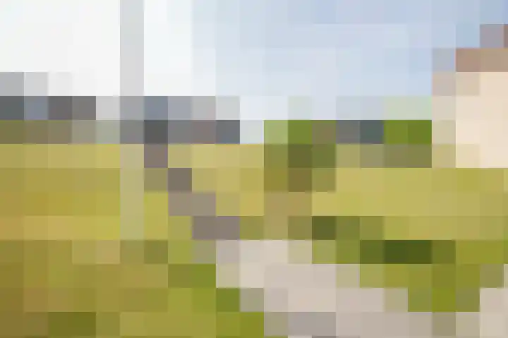 Rijsdijk 7 Krimpen aan de Lek thumbnail 41