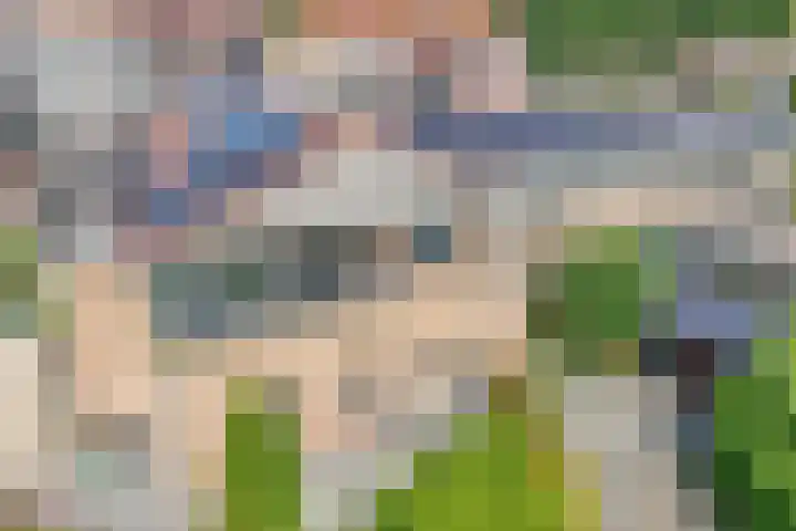Rijsdijk 7 Krimpen aan de Lek thumbnail 42