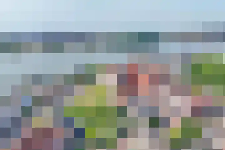 Rijsdijk 7 Krimpen aan de Lek thumbnail 45