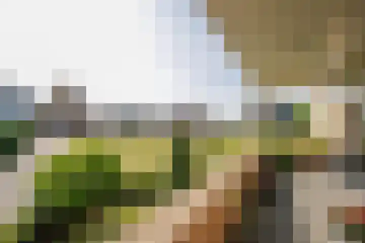 Rijsdijk 7 Krimpen aan de Lek thumbnail 5
