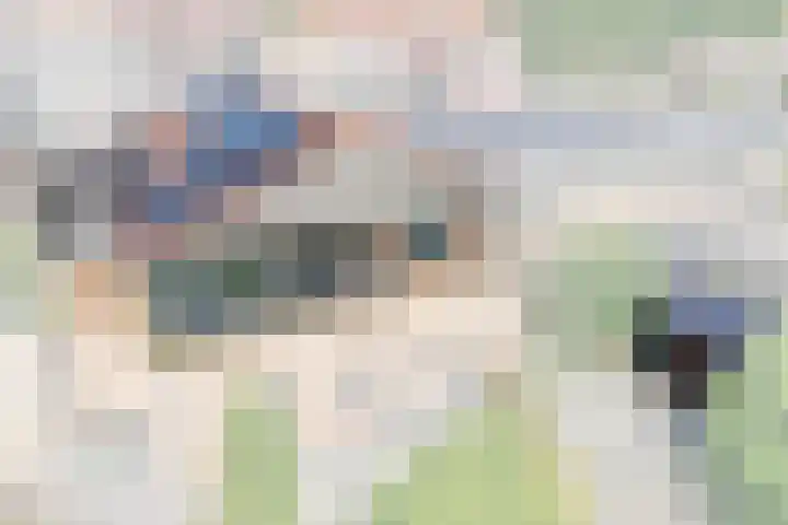 Rijsdijk 7 Krimpen aan de Lek thumbnail 53