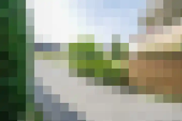 Rijsdijk 7 Krimpen aan de Lek thumbnail 6