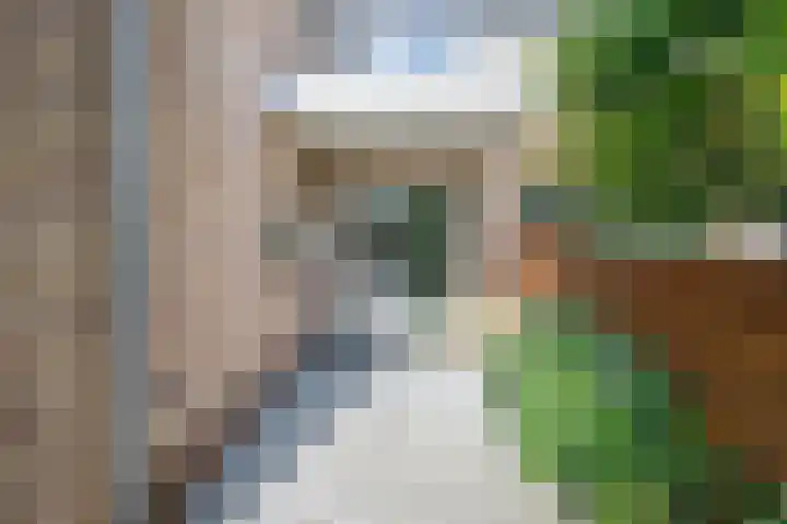 Rijsdijk 7 Krimpen aan de Lek thumbnail 7
