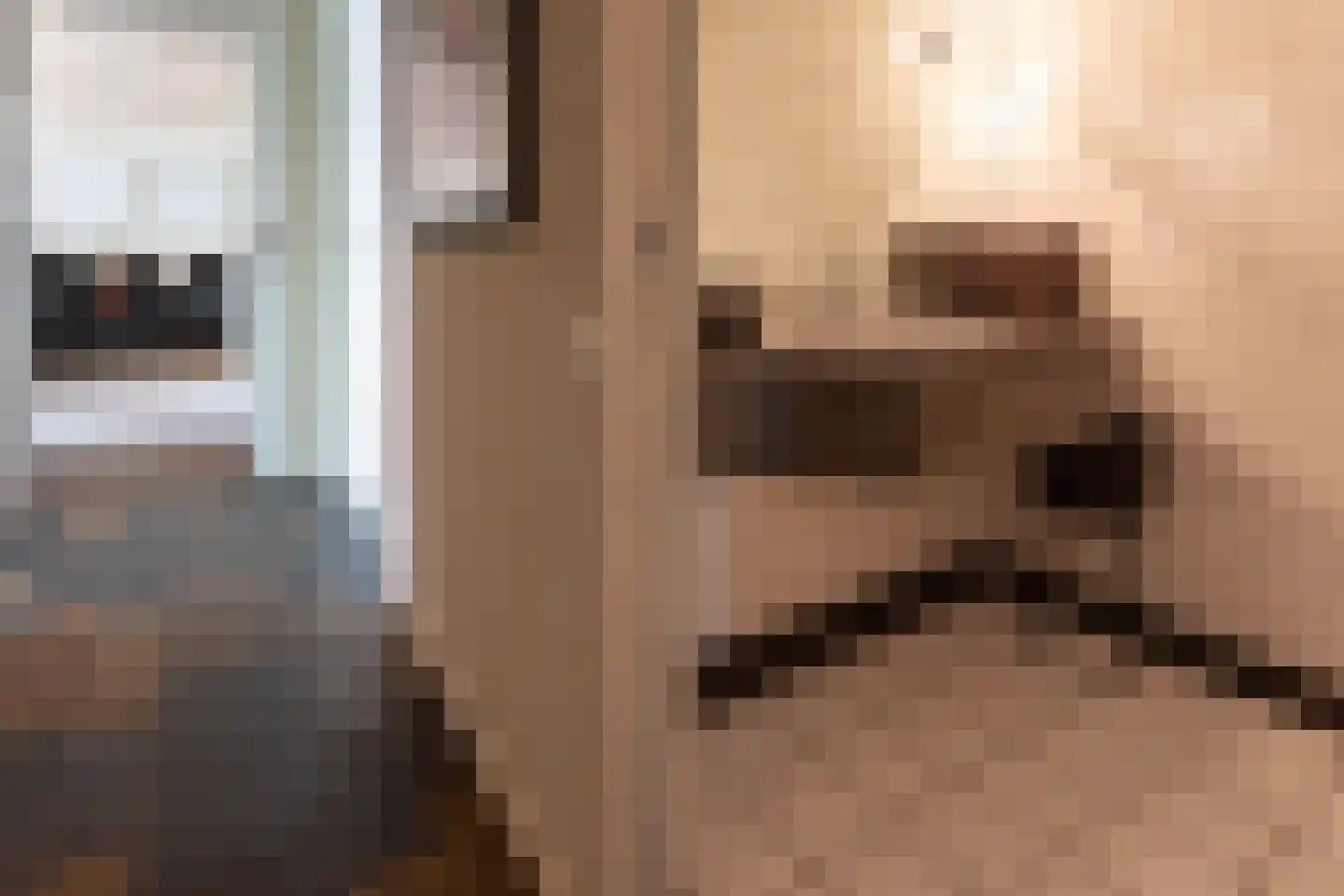 Rijsdijk 8 Krimpen aan de Lek thumbnail 37
