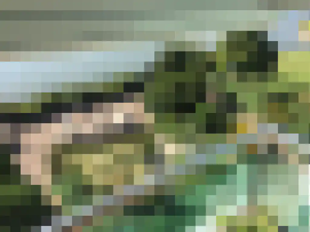 Rijsdijk 8 Krimpen aan de Lek thumbnail 4