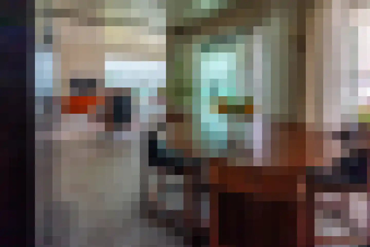 Rijsdijk 8 Krimpen aan de Lek thumbnail 44