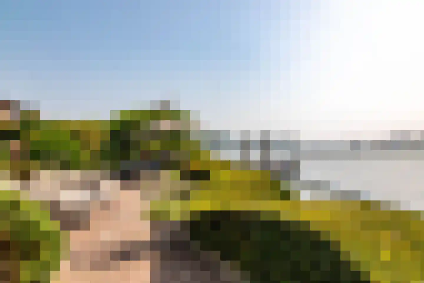Rijsdijk 8 Krimpen aan de Lek thumbnail 5