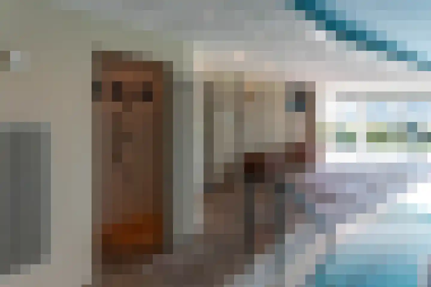 Rijsdijk 8 Krimpen aan de Lek thumbnail 70