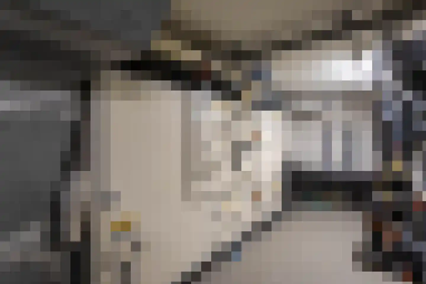 Rijsdijk 8 Krimpen aan de Lek thumbnail 72