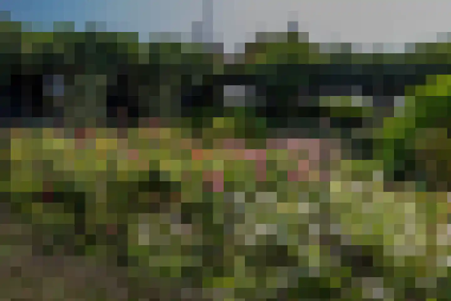 Rijsdijk 8 Krimpen aan de Lek thumbnail 84