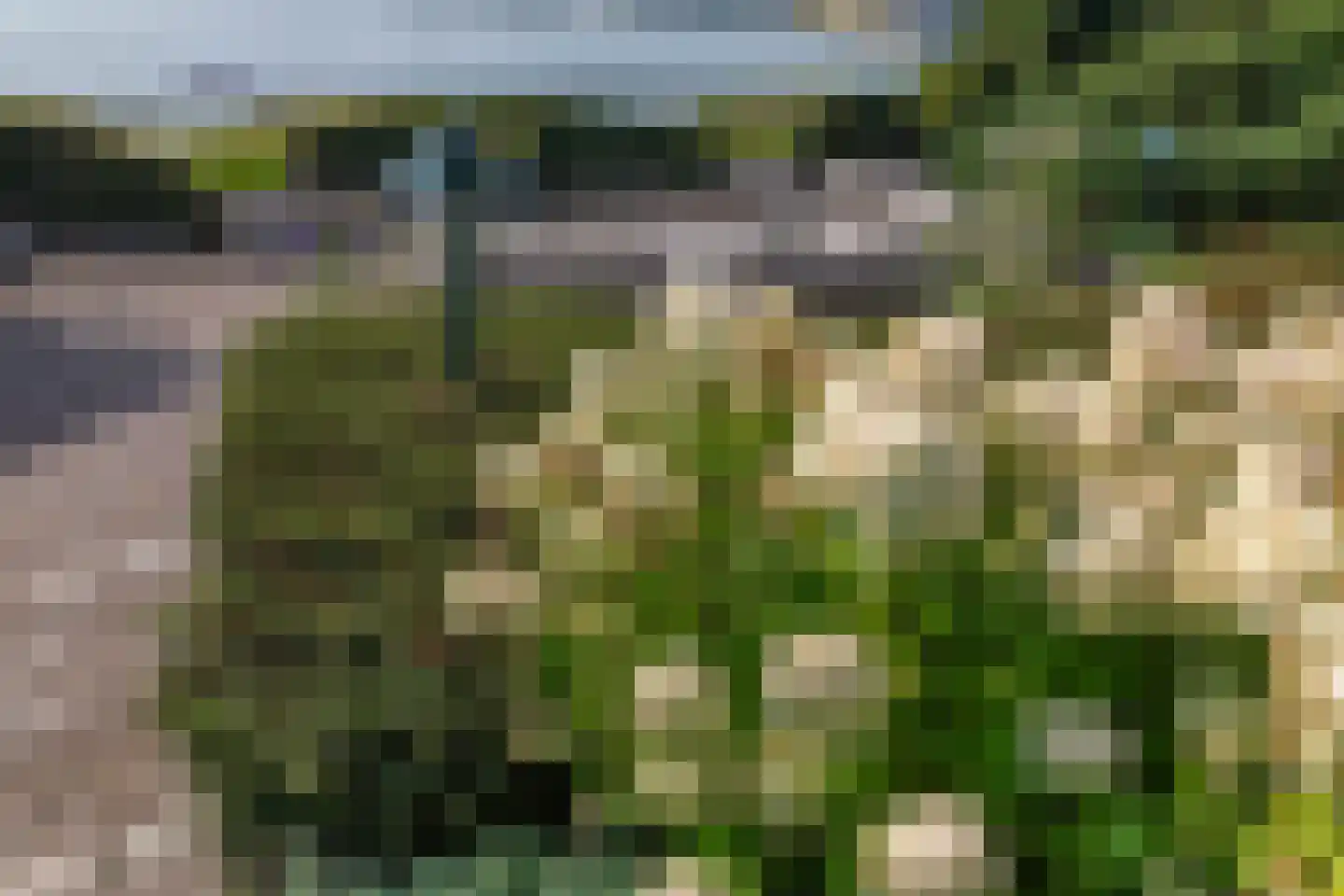 Rijsdijk 8 Krimpen aan de Lek thumbnail 86