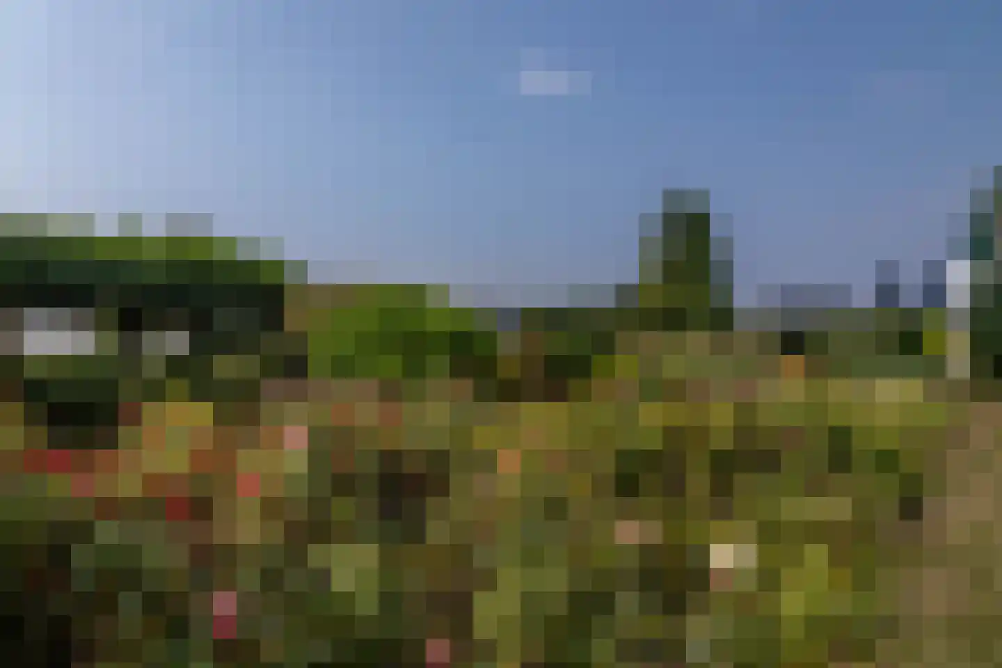 Rijsdijk 8 Krimpen aan de Lek thumbnail 87