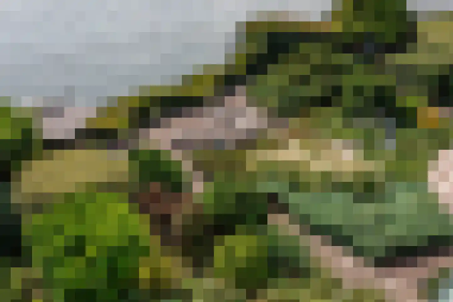 Rijsdijk 8 Krimpen aan de Lek thumbnail 96