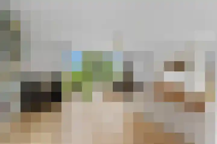 Rijsdijk 99 Rhoon thumbnail 13