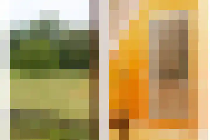 Rijsdijk 99 Rhoon thumbnail 36