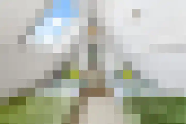 Rijsdijk 99 Rhoon thumbnail 47