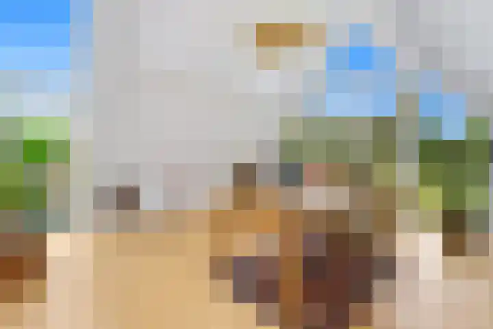 Rijsdijk 99 Rhoon thumbnail 5