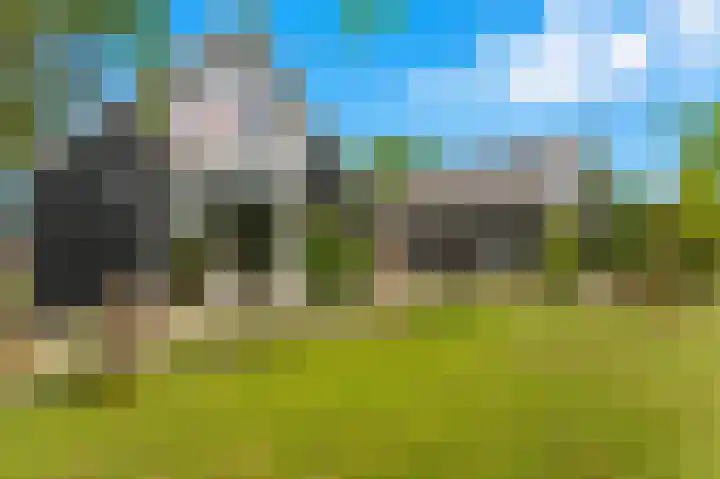 Rijsdijk 99 Rhoon thumbnail 50