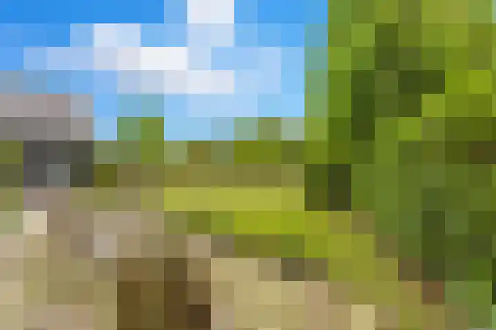 Rijsdijk 99 Rhoon thumbnail 51