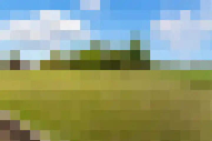 Rijsdijk 99 Rhoon thumbnail 52