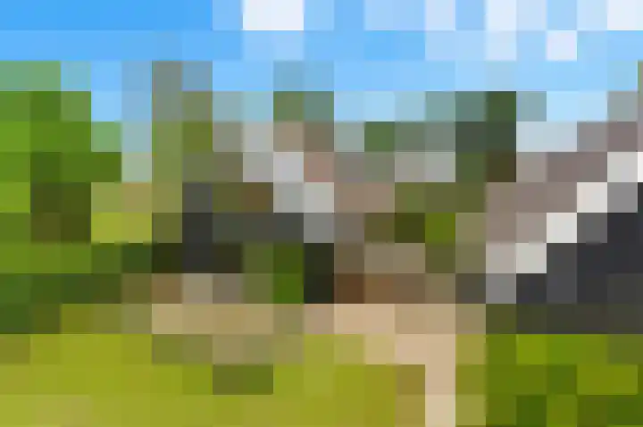 Rijsdijk 99 Rhoon thumbnail 53