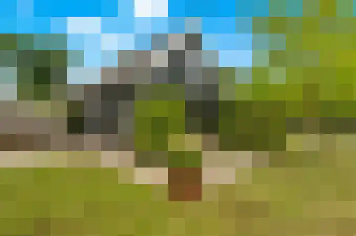 Rijsdijk 99 Rhoon thumbnail 54