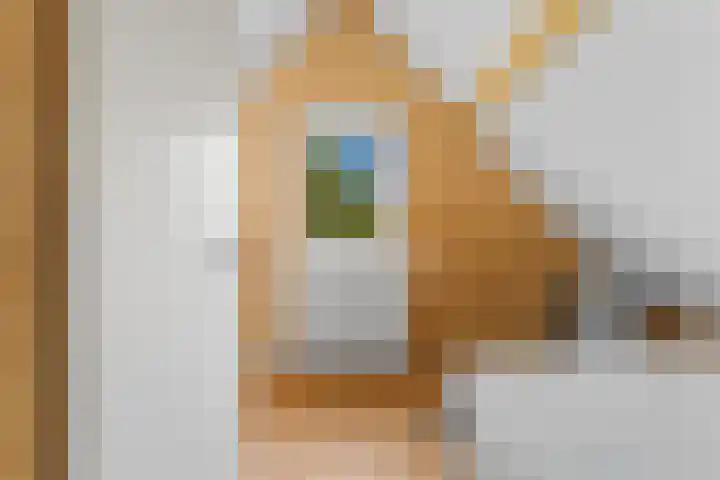 Rijsdijk 99 Rhoon thumbnail 58