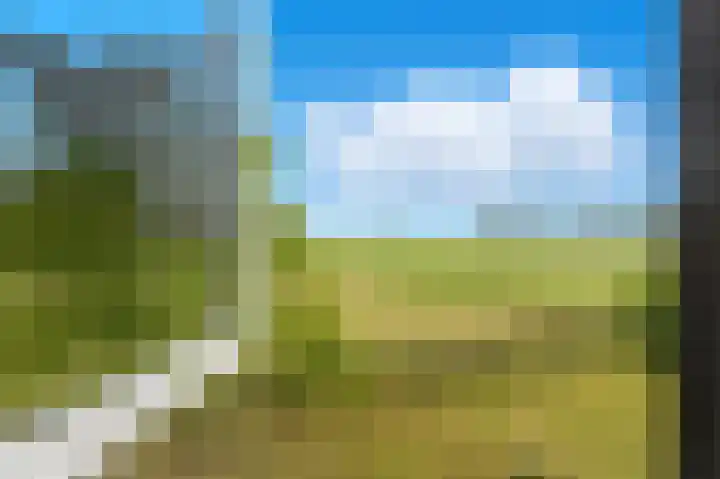 Rijsdijk 99 Rhoon thumbnail 61