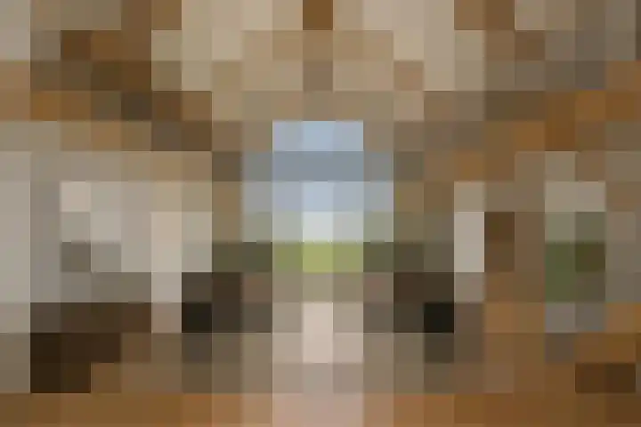 Rijsdijk 99 Rhoon thumbnail 65