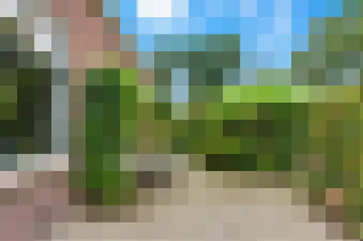 Rijsdijk 99 Rhoon thumbnail 66