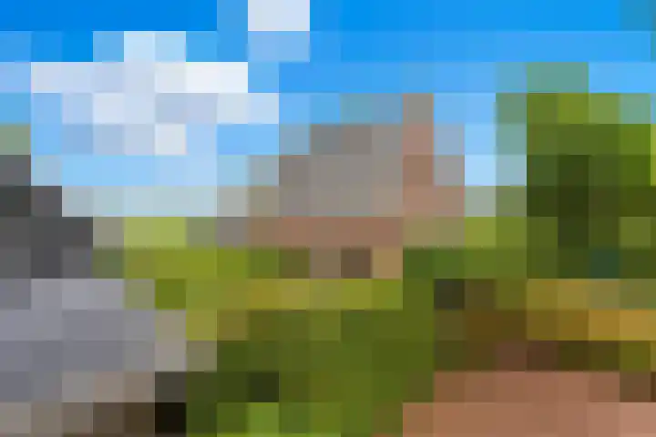Rijsdijk 99 Rhoon thumbnail 69
