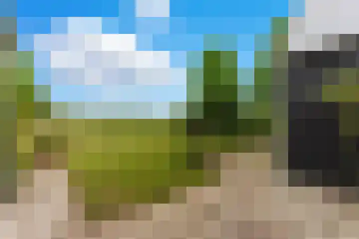 Rijsdijk 99 Rhoon thumbnail 7