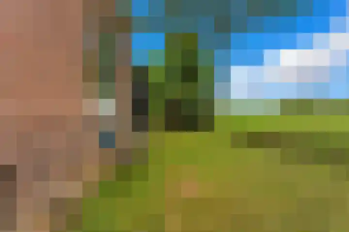 Rijsdijk 99 Rhoon thumbnail 71