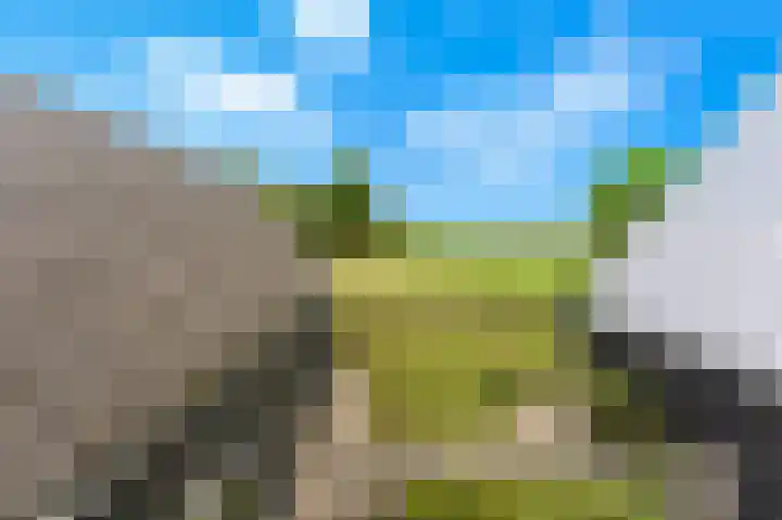 Rijsdijk 99 Rhoon thumbnail 72