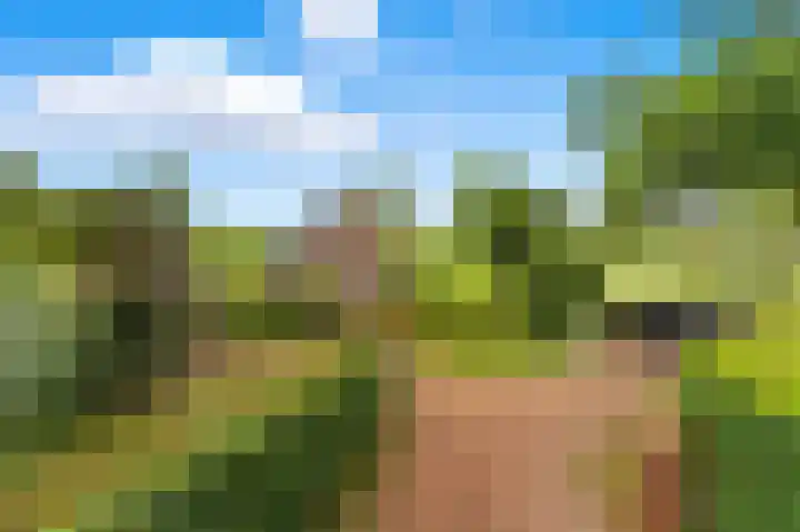 Rijsdijk 99 Rhoon thumbnail 74