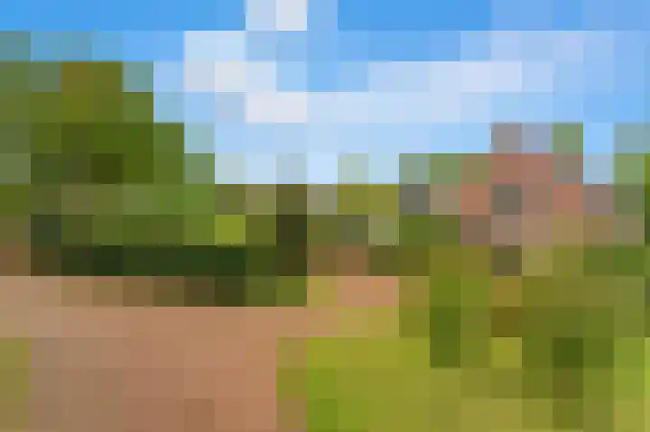 Rijsdijk 99 Rhoon thumbnail 9